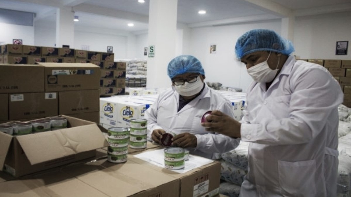 Arequipa: colegios con riesgo por falta de fumigación y control de alimentos de Wasi Mikuna