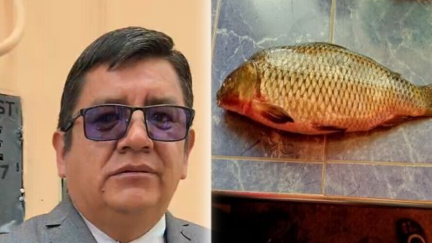 InShot_20251202_175714107