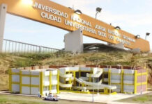 Puno: Sunedu autoriza filial de la Universidad Jorge Basadre en Ilave y ampliará oferta académica