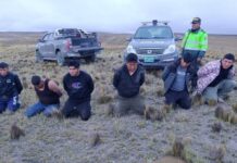 Puno: Dictan 18 meses de prisión preventiva contra presuntos integrantes de “Los Buitres de Aricoma”