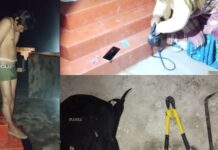 Yunguyo: vecinos capturan y atan a presunto ladrón en plaza de Villa Santa Rosa tras robo en vivienda