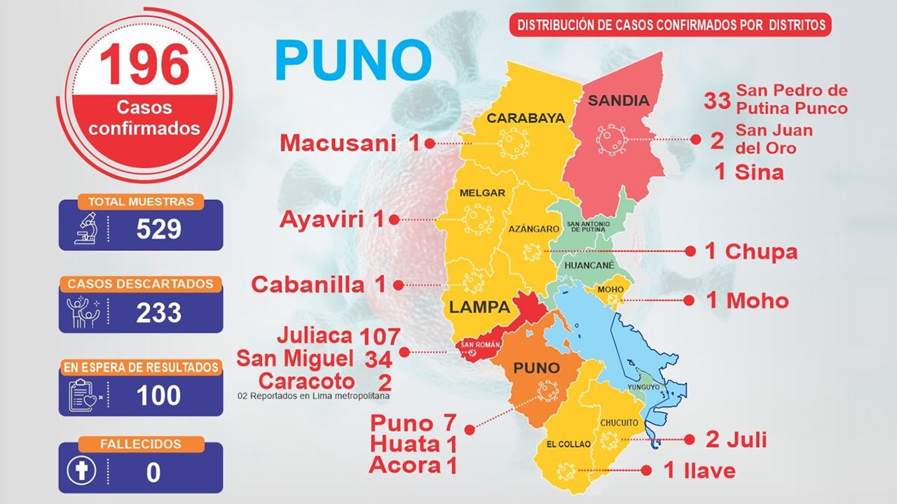 Puno registra 196 casos confirmados de sarampión según Diresa