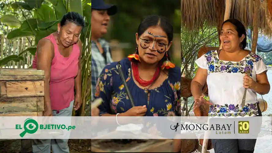 dia mundial de la abeja - el objetivo