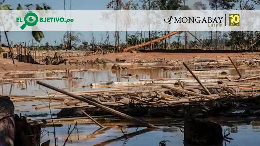 Aumentan pedidos de concesiones mineras en la selva peruana de Madre de Dios - el objetivo