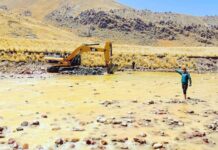Puno: PEBLT y Municipalidad de Llalli mejoran canales de riego en la cuenca del río Llallimayo