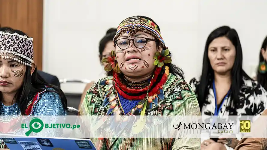 peru olivia bisa deibilidad protección líderes indígenas - el objetivo
